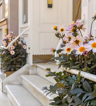 Potted pink and white daisies with yellow centers line the marble steps of a building entrance. The street is blurred in the background, adding an urban ambiance to the scene.